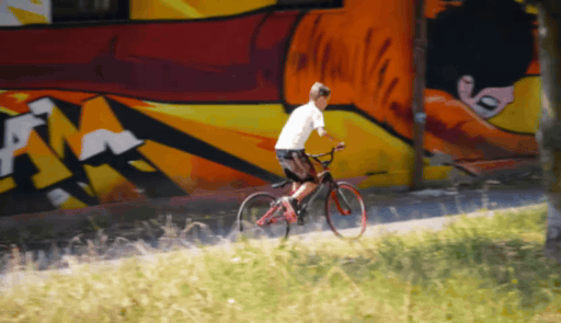 ReCamMaster BMX Trees