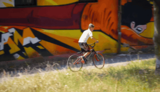 ReDirector BMX Trees