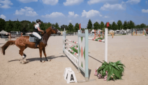 ReDirector Horsejump
