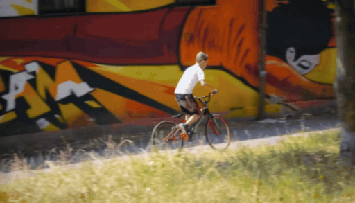 TrajectoryCrafter BMX Trees