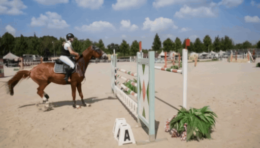 TrajectoryCrafter Horsejump