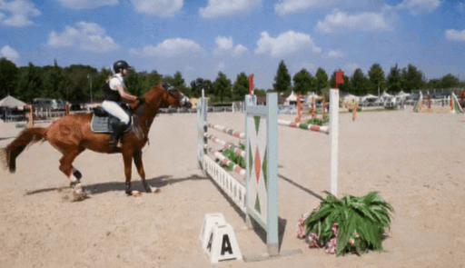 Ours Horsejump